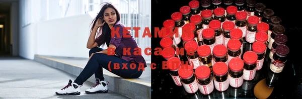 шишки Абинск