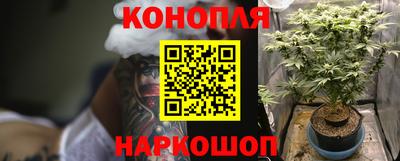 ПСИЛОЦИБИНОВЫЕ ГРИБЫ Дубна