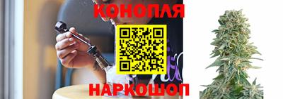прущие крисы Донской