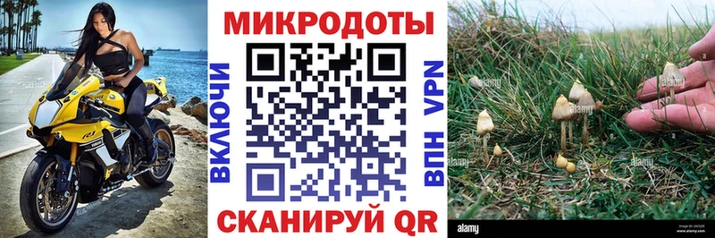 Галлюциногенные грибы GOLDEN TEACHER  Воронеж 